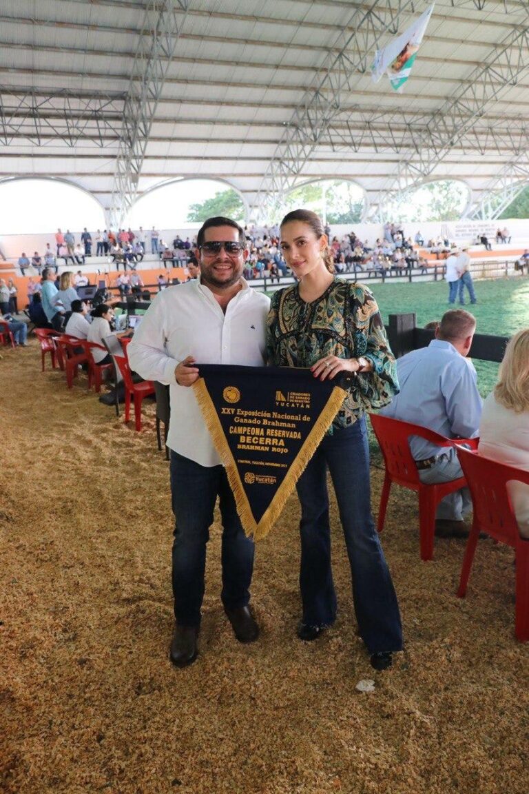 790fcd93-63a3-4817-a292-500febfd2388