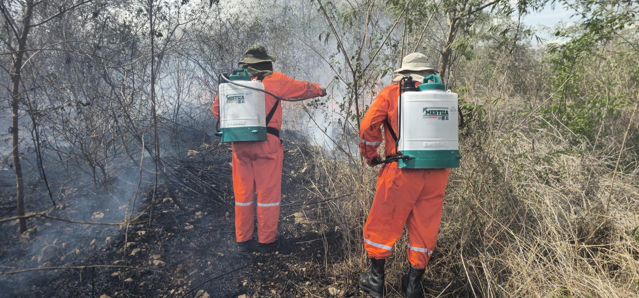 2357a7ac-942a-48f4-91cf-d0babc096310