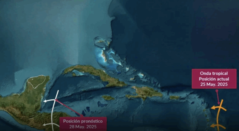 Captura de pantalla 2025-05-27 a la(s) 12.08.18