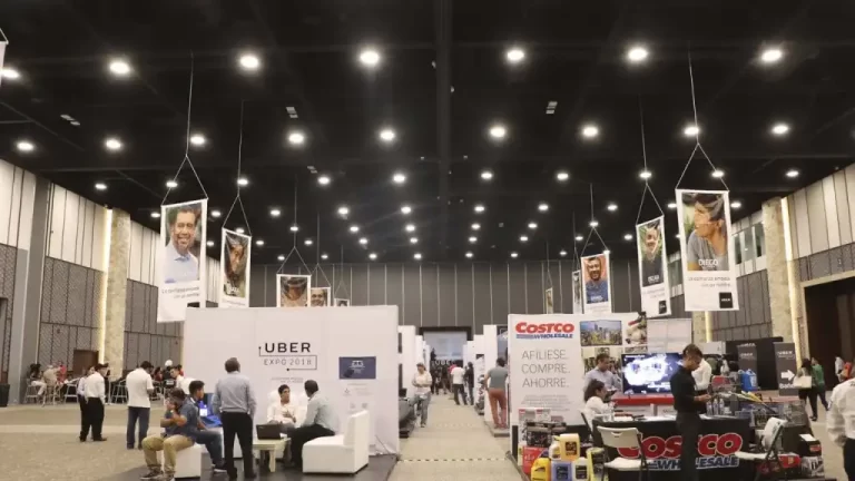 902784_f6be503a01a54c9b8d53f0041edc2c66mv2