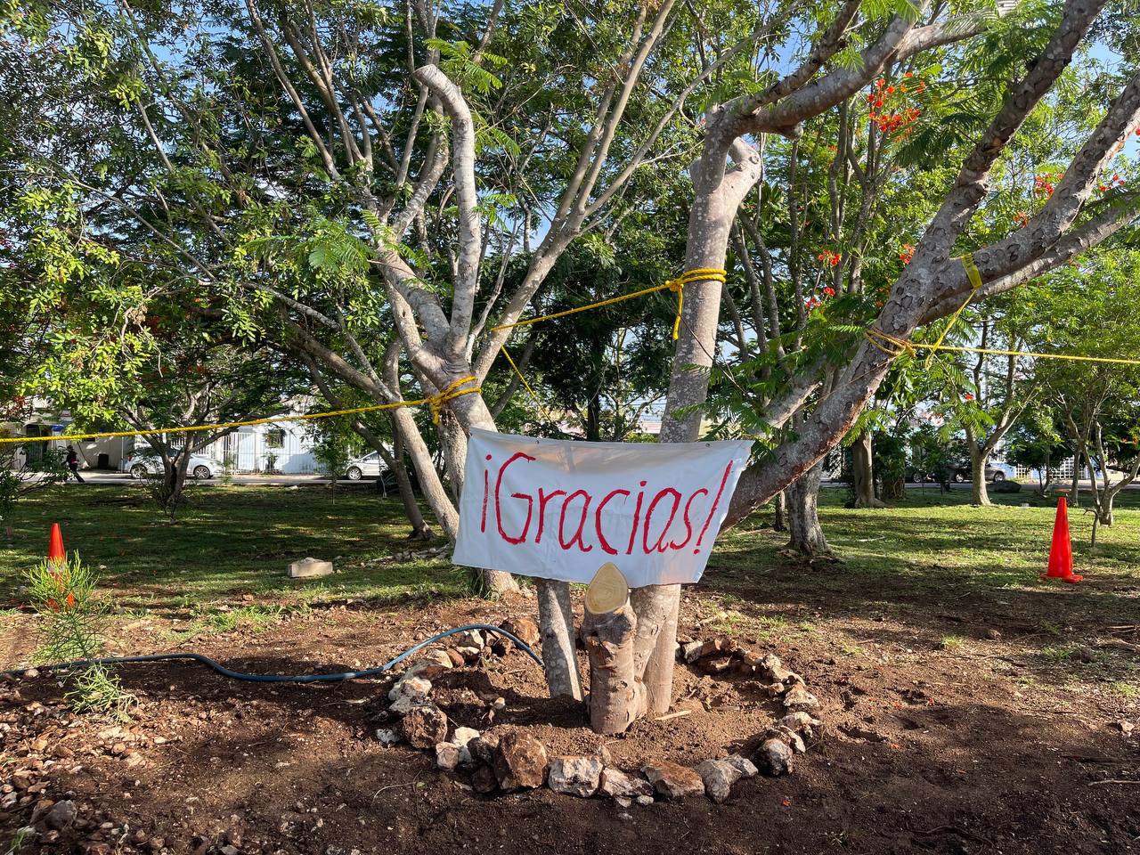 WhatsApp-Image-2025-06-22-at-3.31.18-PM