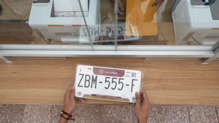 WhatsApp-Image-2025-06-29-at-4.02.49-PM