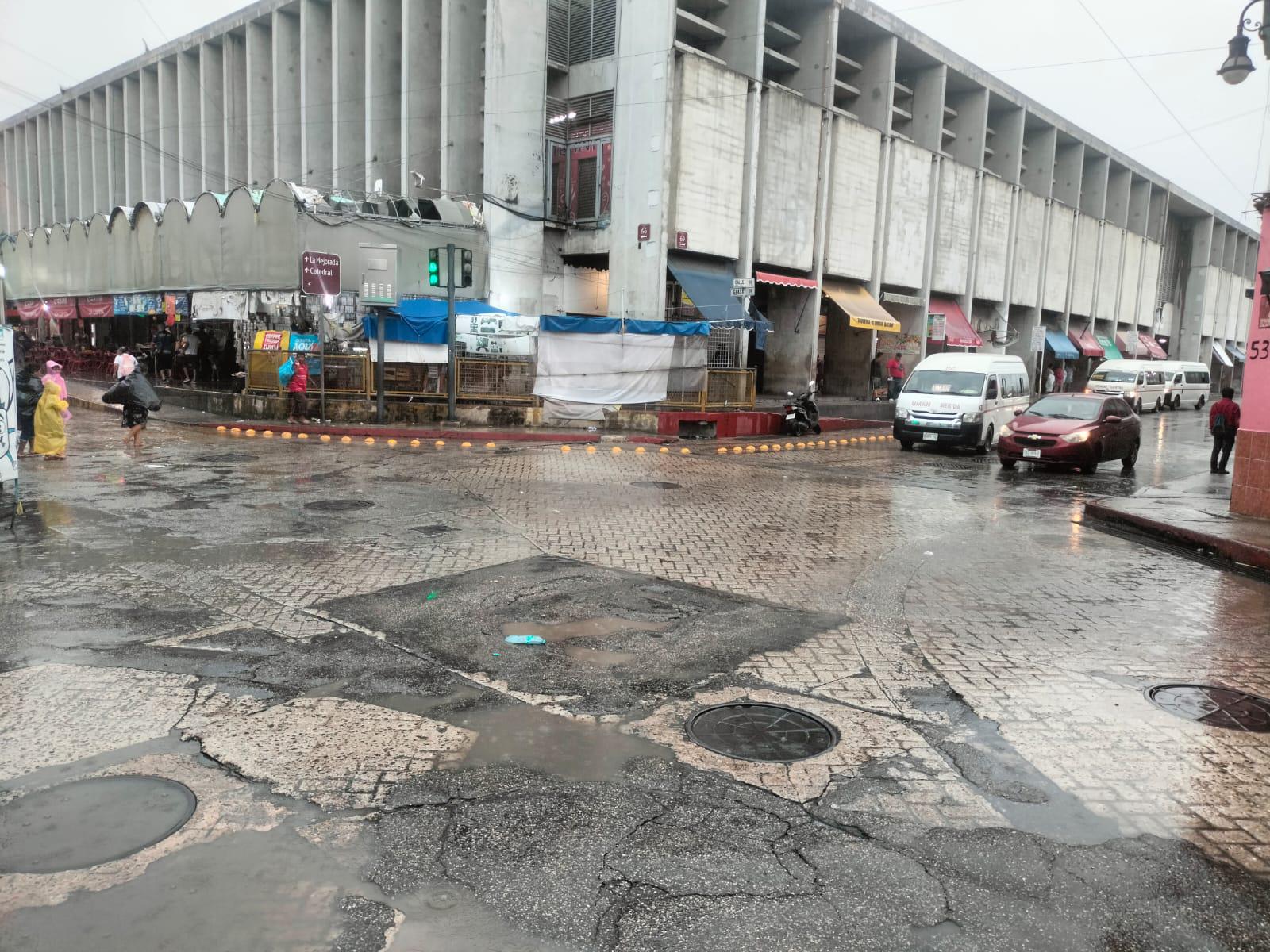 b05a3a31-dd50-4ac3-9d3f-a35ad90cfac5