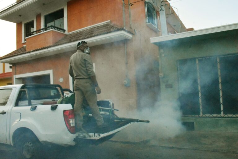 WhatsApp-Image-2025-08-05-at-8.12.59-AM