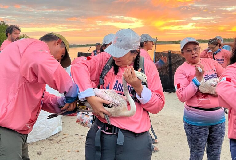 WhatsApp-Image-2025-09-06-at-11.01.50-AM