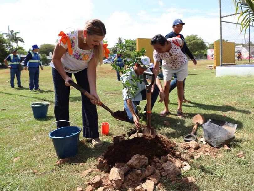 WhatsApp-Image-2025-11-24-at-3.53.15-PM-1