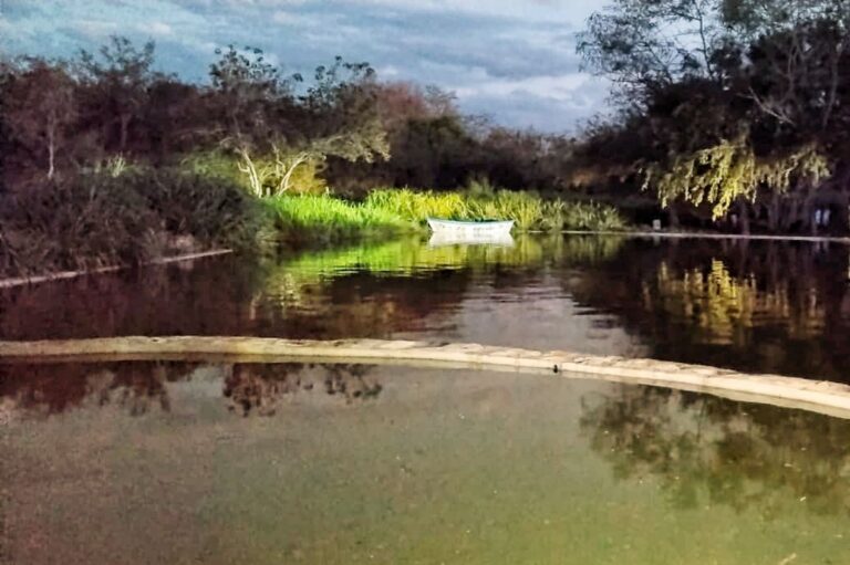 WhatsApp Image 2026-04-09 at 21.30.28