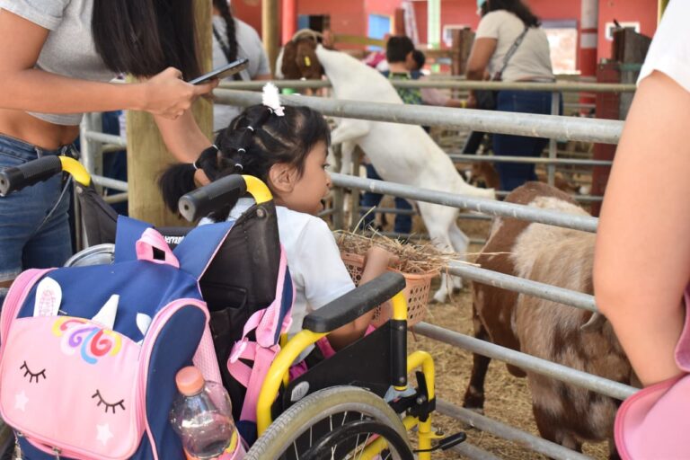 WhatsApp Image 2026-04-18 at 4.07.32 PM (2)